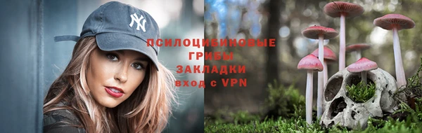 ECSTASY Бугульма