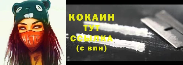 дживик Бронницы