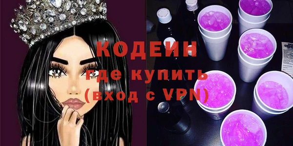 дживик Бронницы