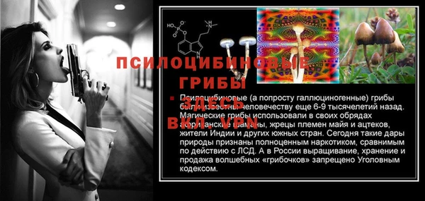 ECSTASY Бугульма