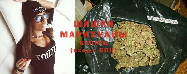 дживик Бронницы