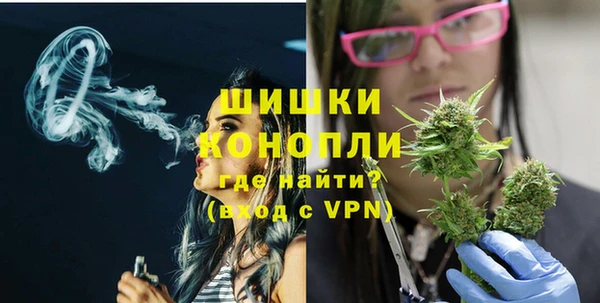 дживик Бронницы