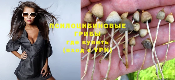 дживик Бронницы