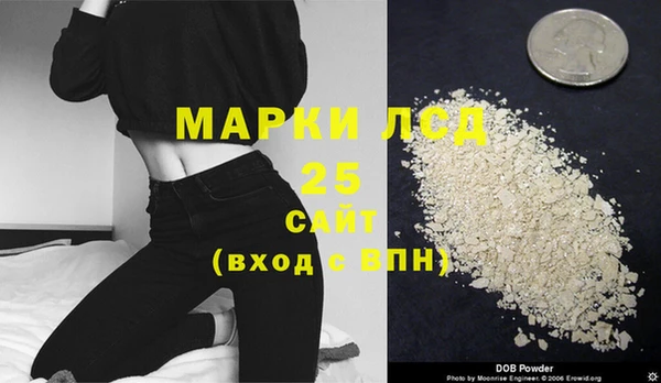 дживик Бронницы