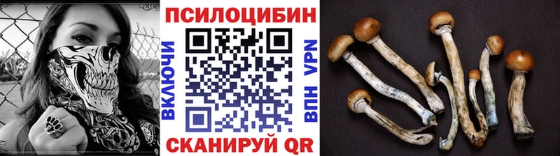 Псилоцибиновые грибы Psilocybine cubensis  даркнет клад  Энгельс 